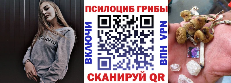 Псилоцибиновые грибы Magic Shrooms  Купить где  Оха 