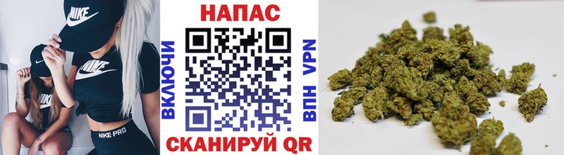 Бошки Шишки гибрид  Купить закладки  Оха 